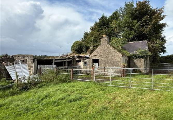 Lowpark House, Sonnagh 31 of 39
