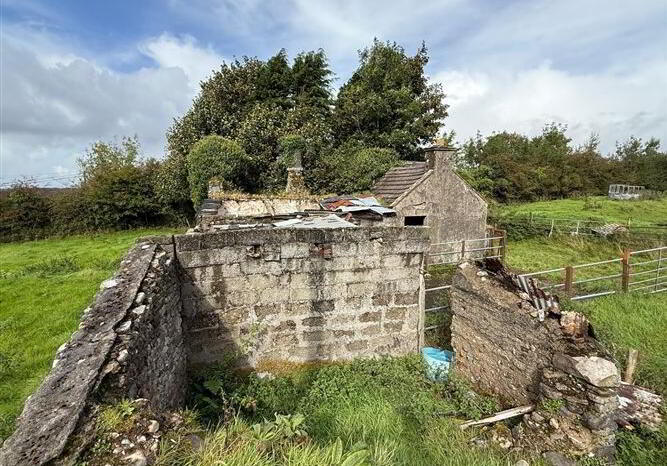 Lowpark House, Sonnagh 33 of 39