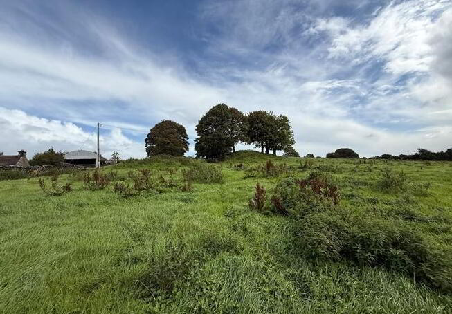 Lowpark House, Sonnagh 37 of 39