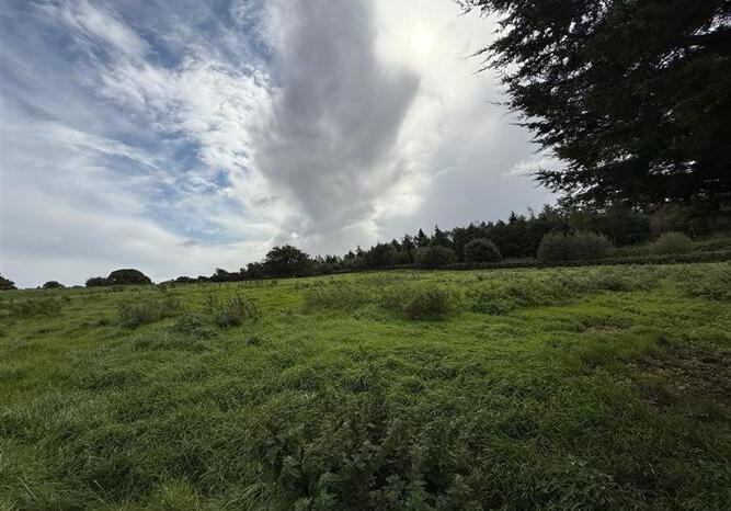 Lowpark House, Sonnagh 38 of 39
