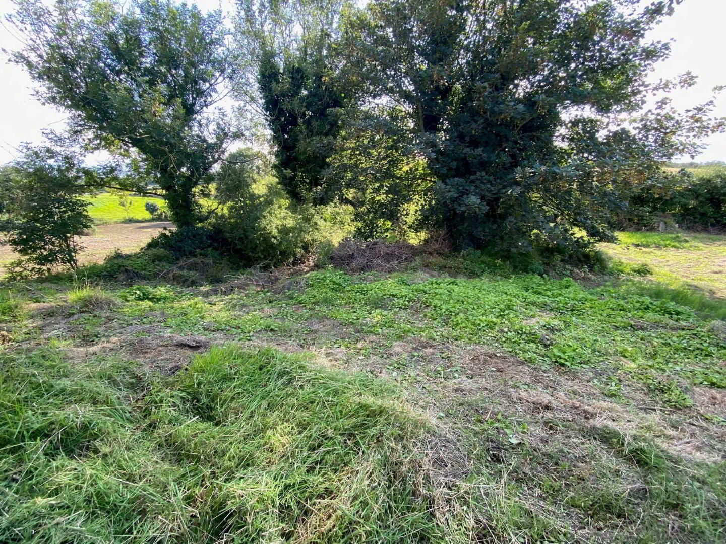 Building Site, Full Planning Permission 8 of 21