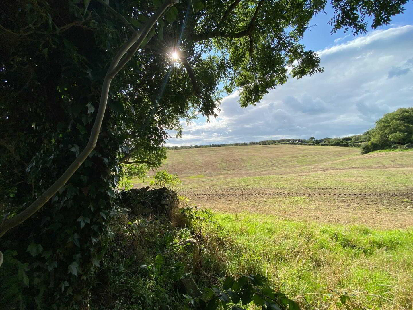 Building Site, Full Planning Permission 15 of 21