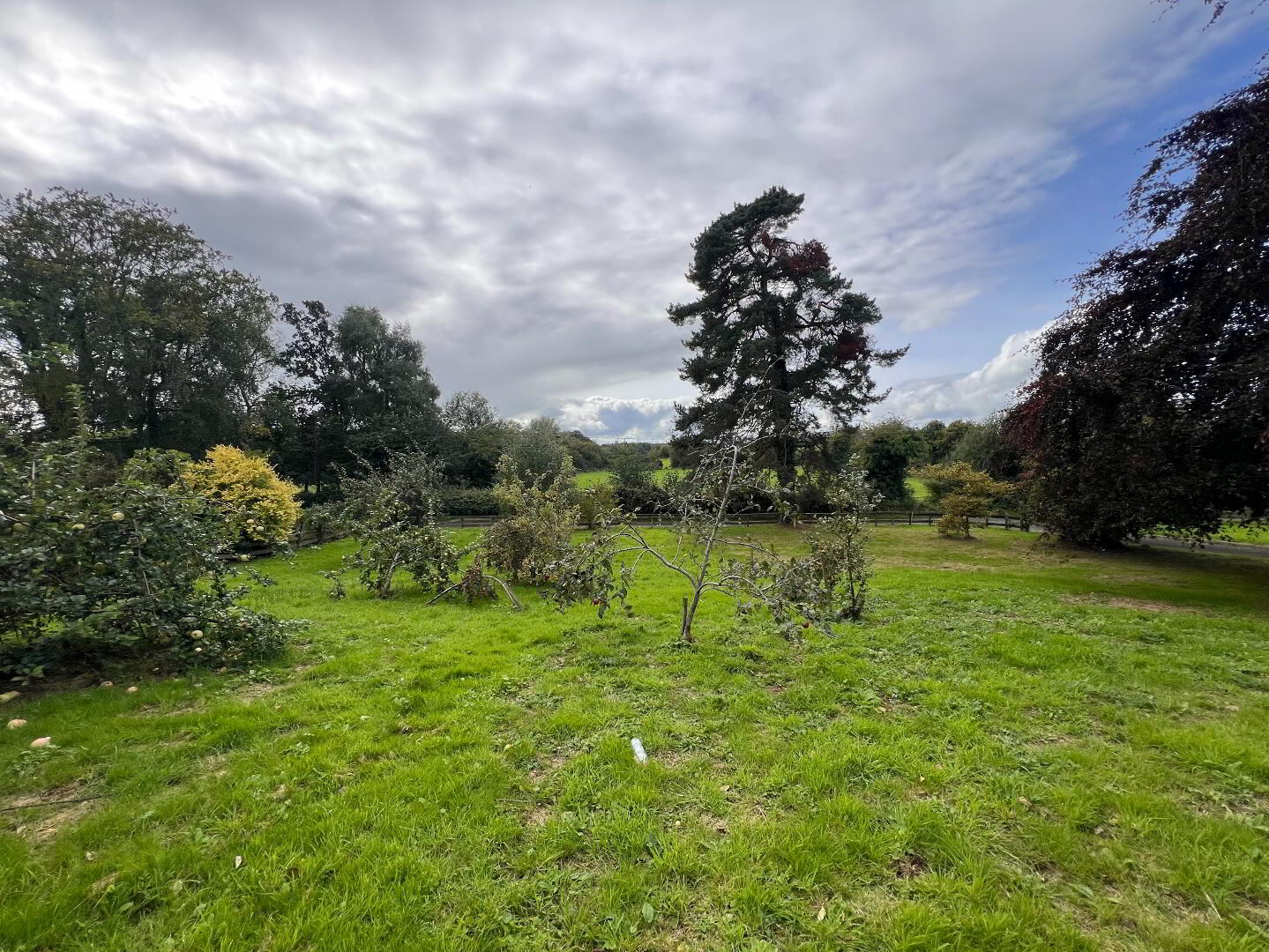 property description image