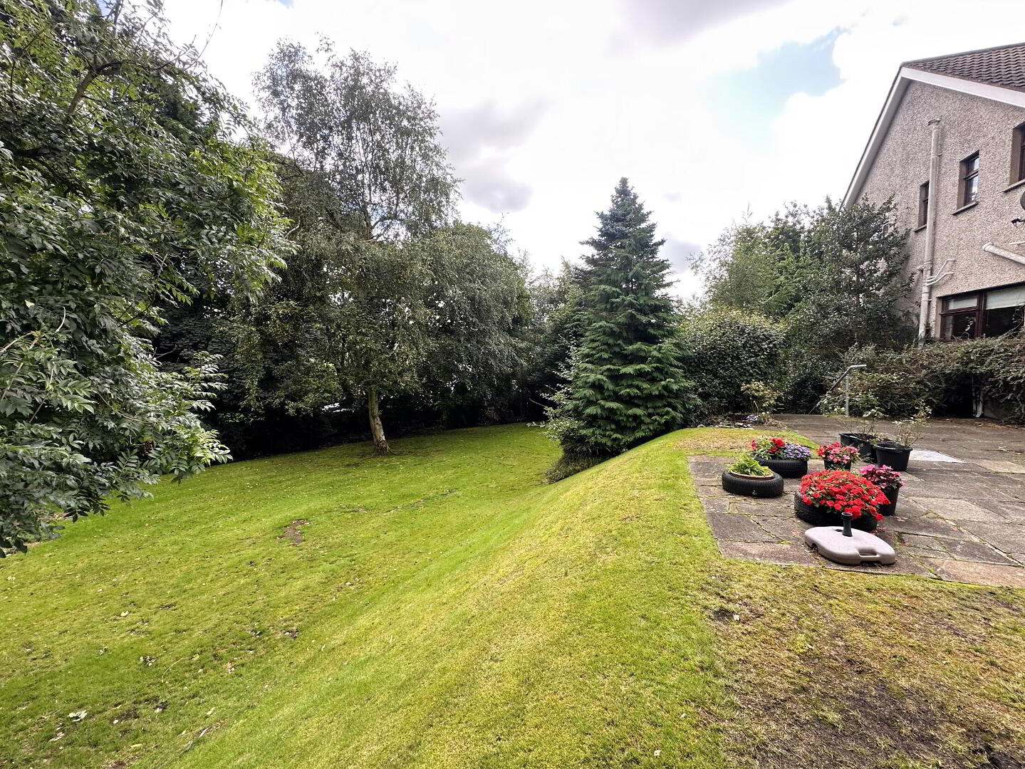 65 Lurgan Road 30 of 33