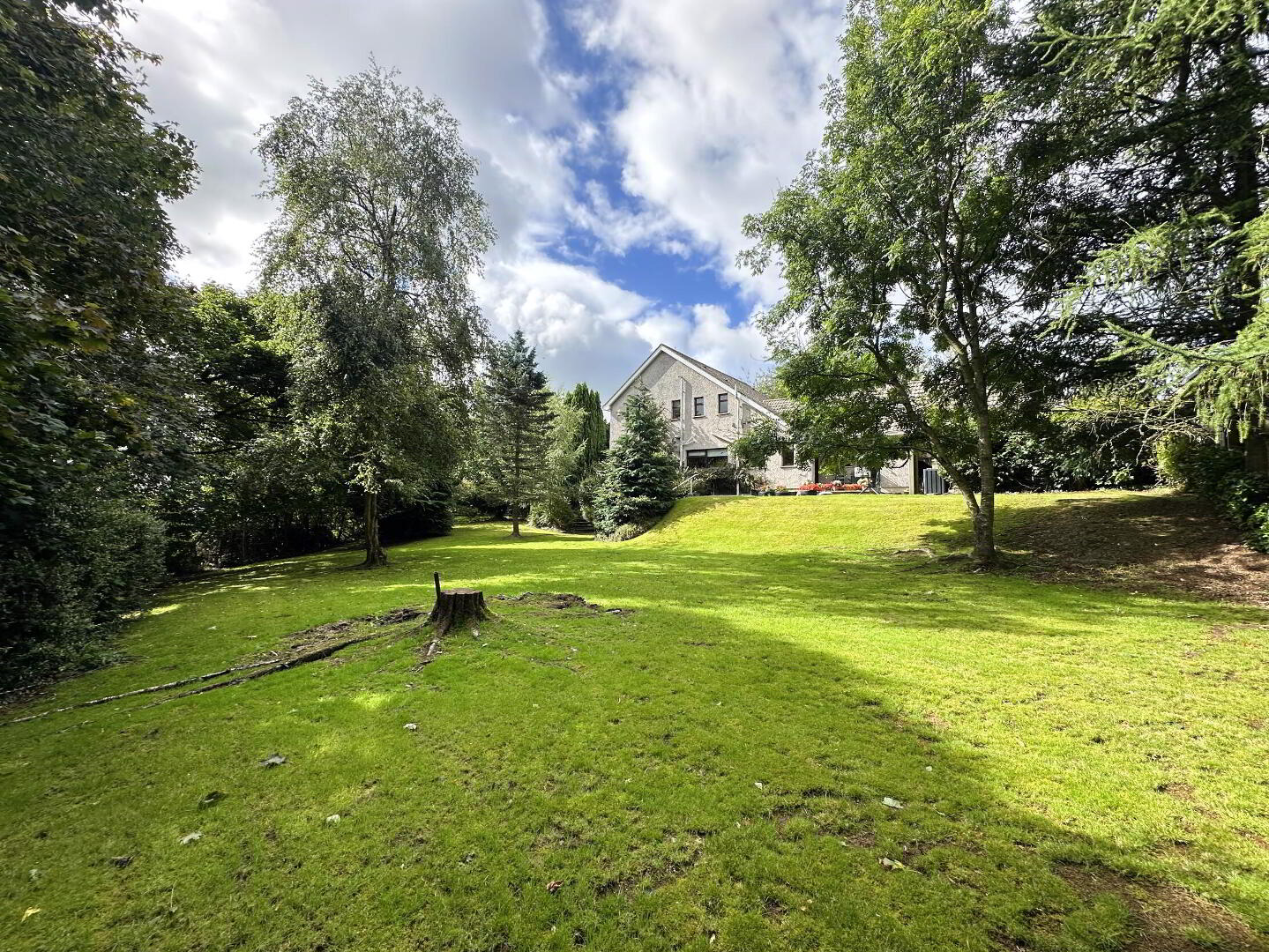65 Lurgan Road 31 of 33