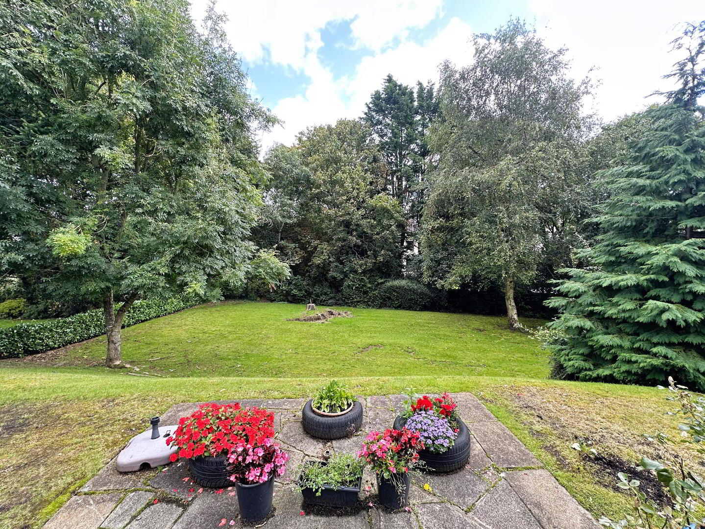 65 Lurgan Road 3 of 33