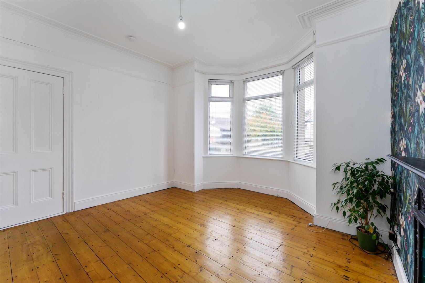 50 Bangor Road 6 of 17