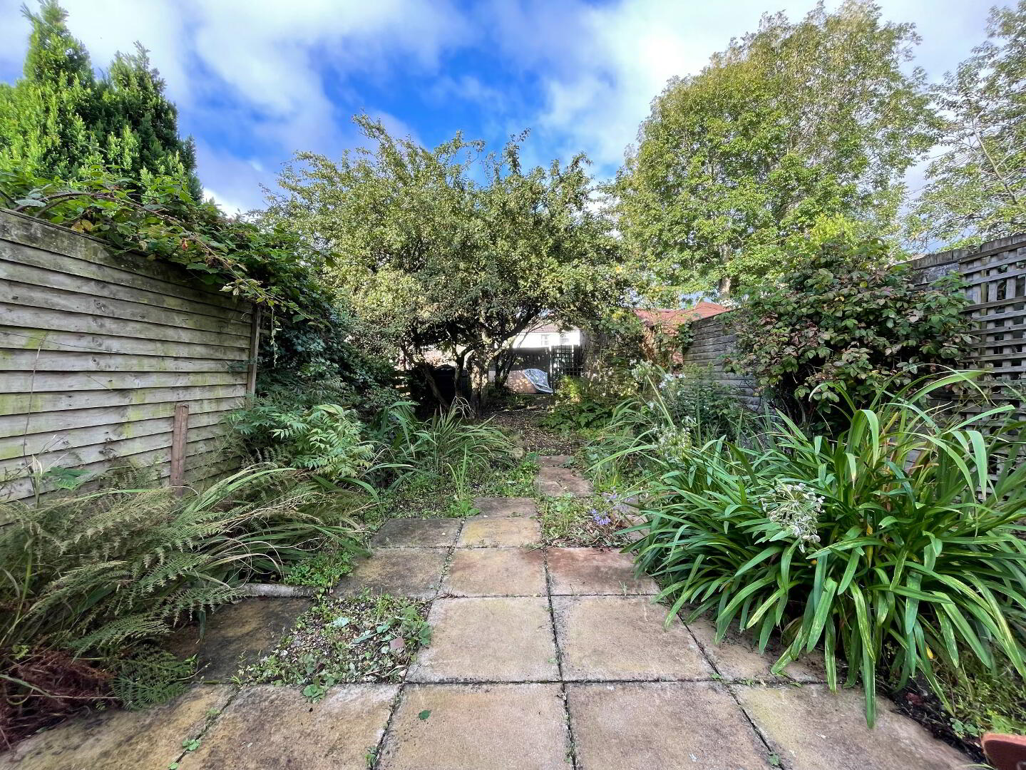 44 James Street 13 of 15