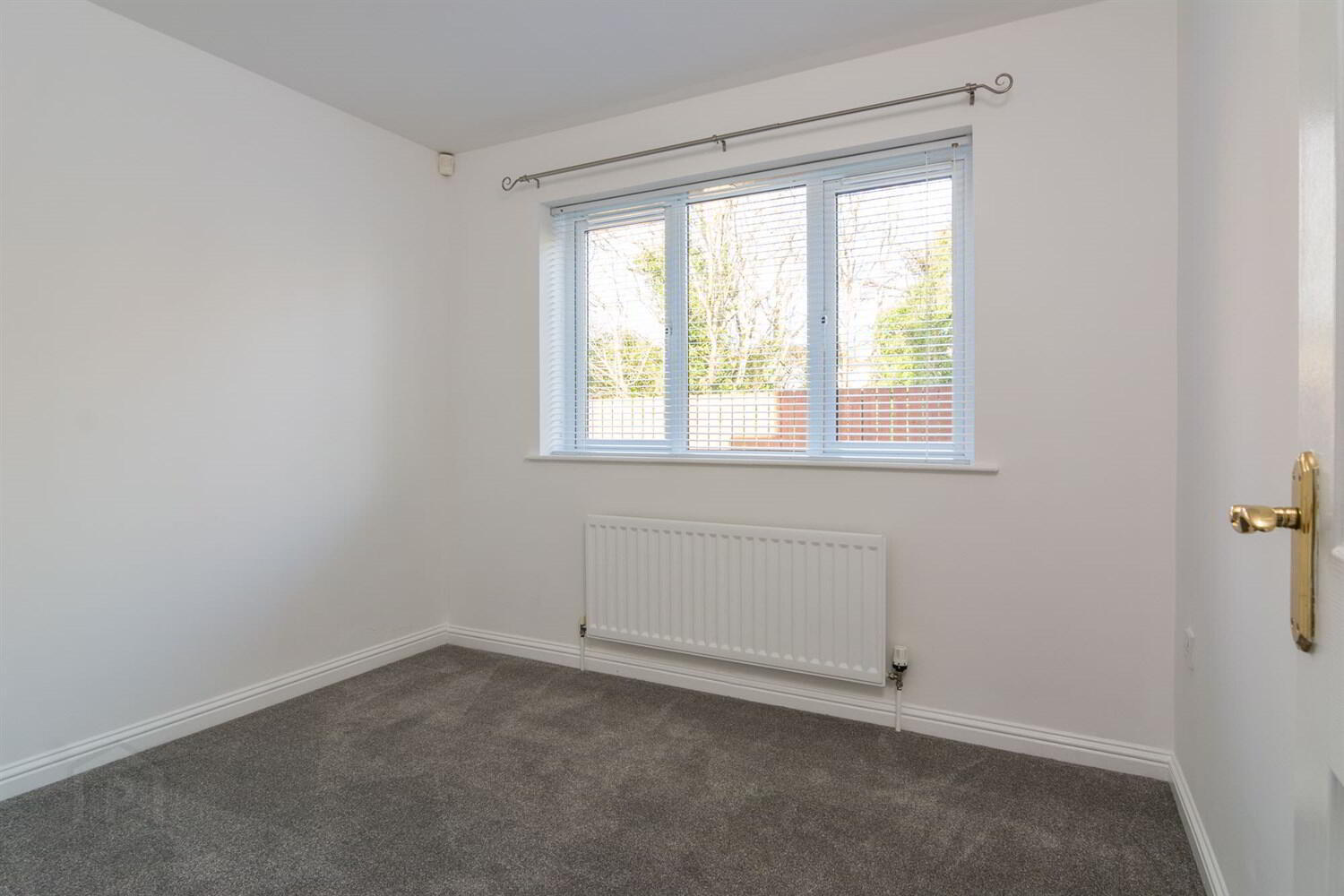 Apt 17, Glenmount Drive 8 of 10