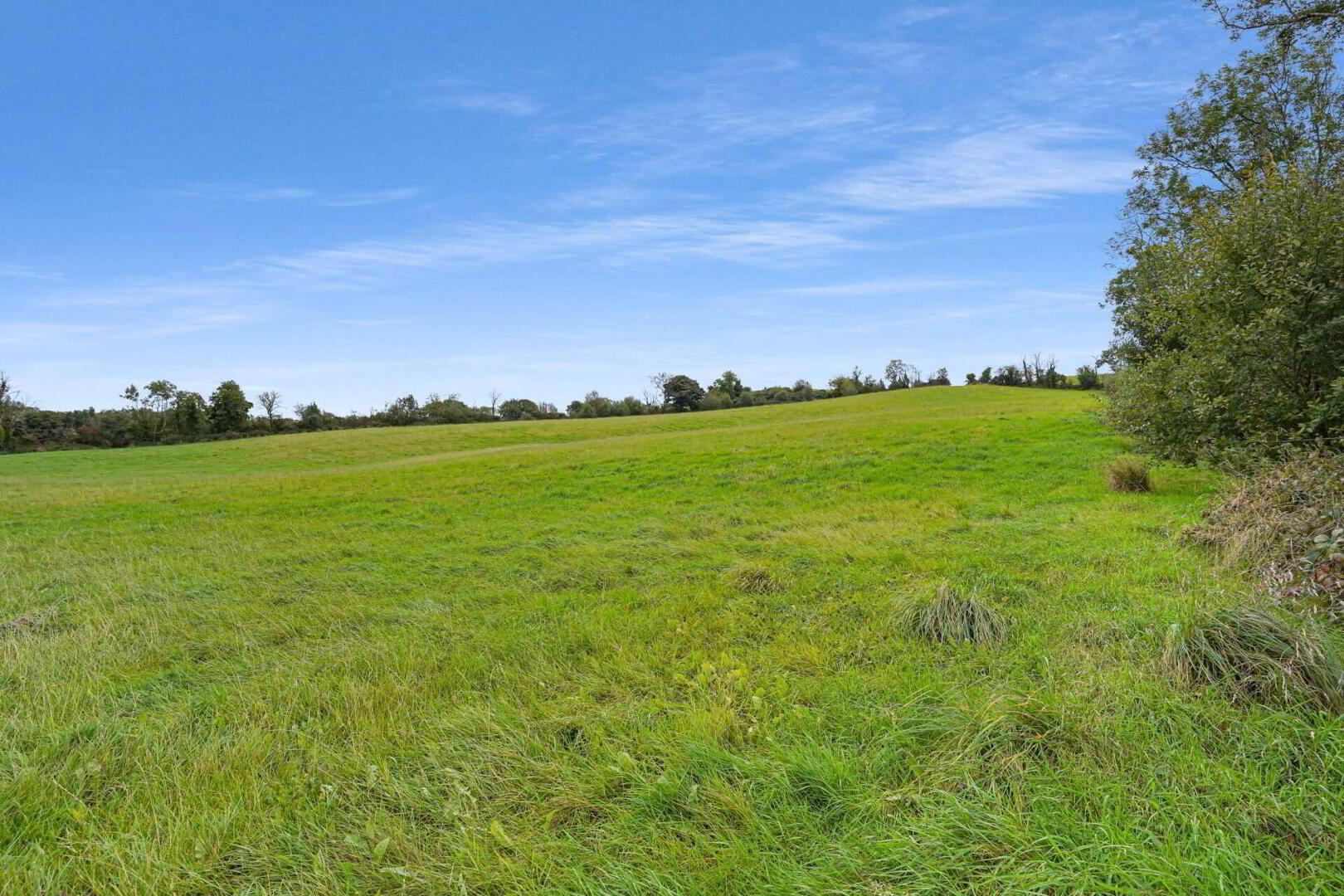 Land At, Northlands 16 of 16