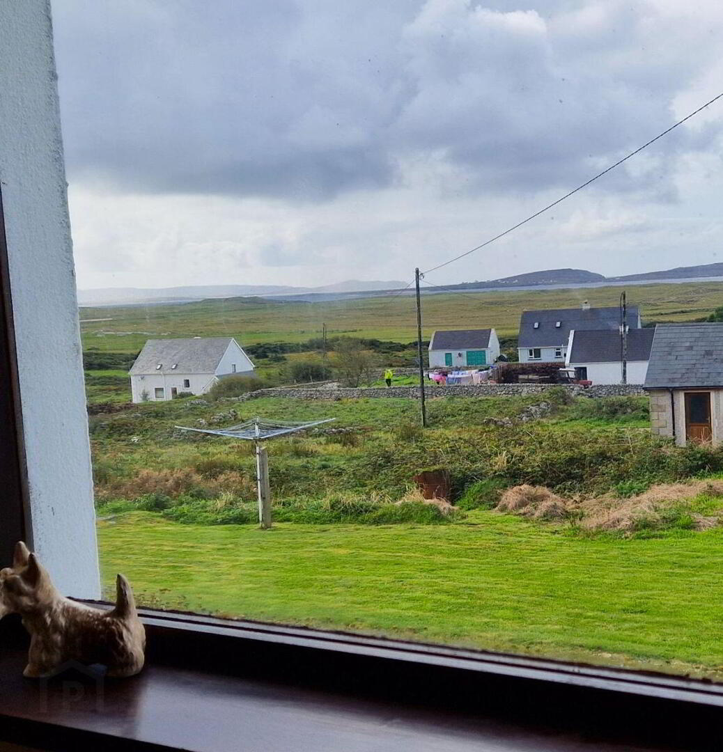 Carrickboyle 13 of 26