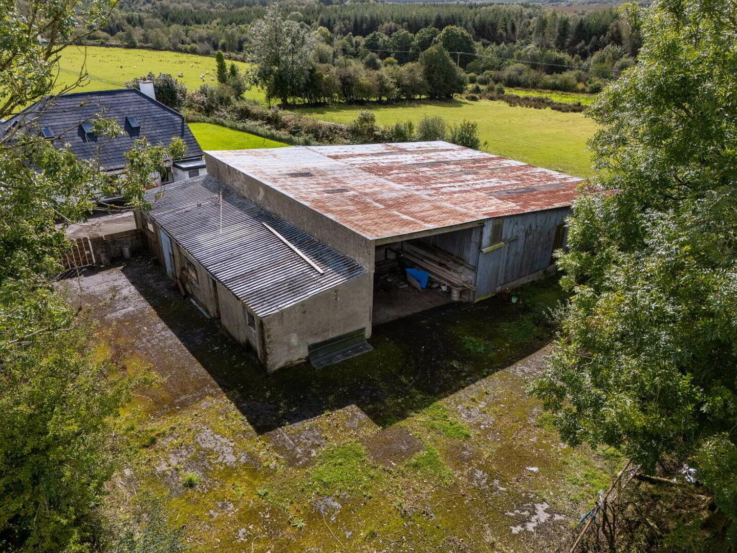 Creelaghta 43 of 48