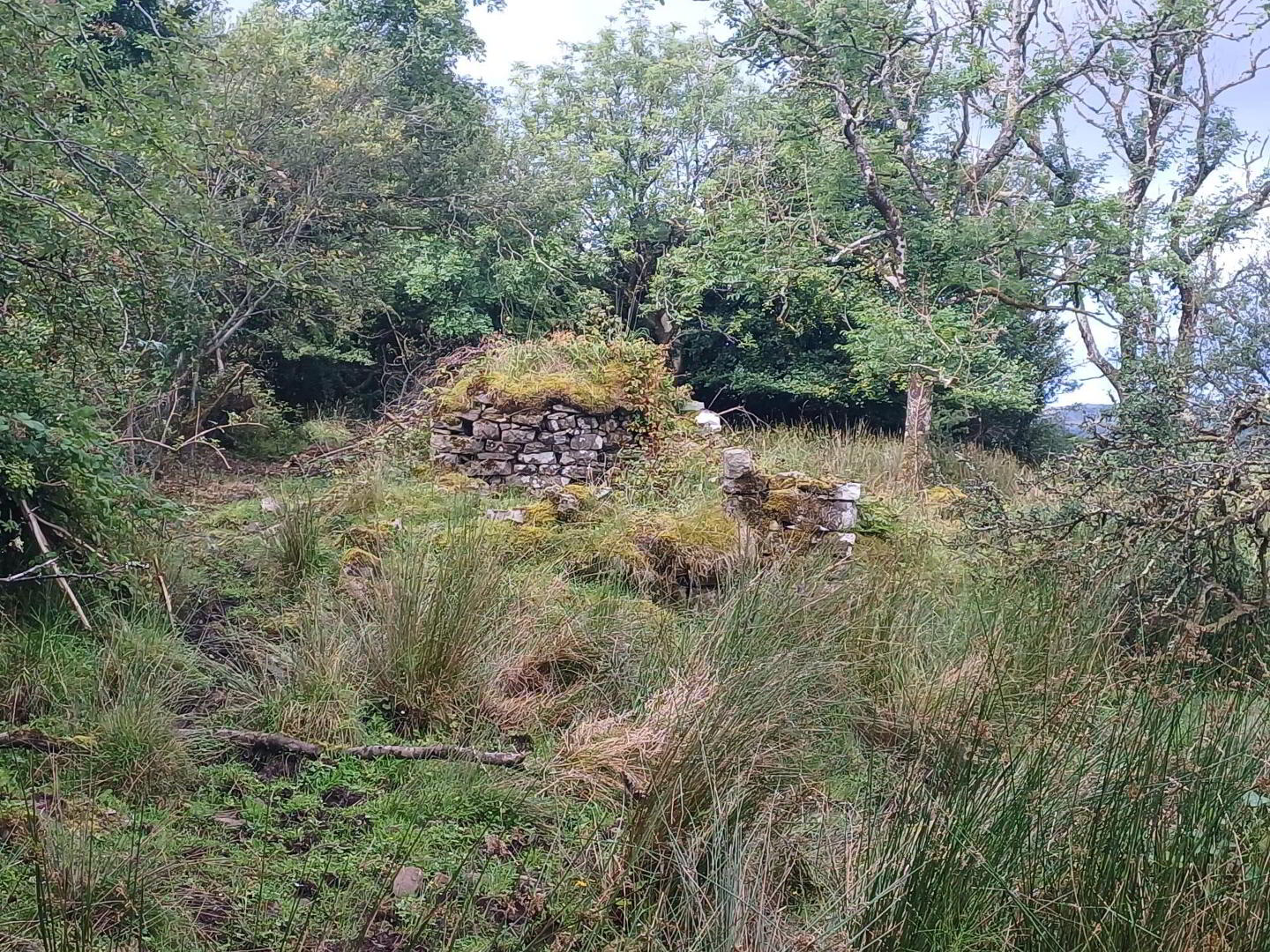 Corratawy 5 of 6