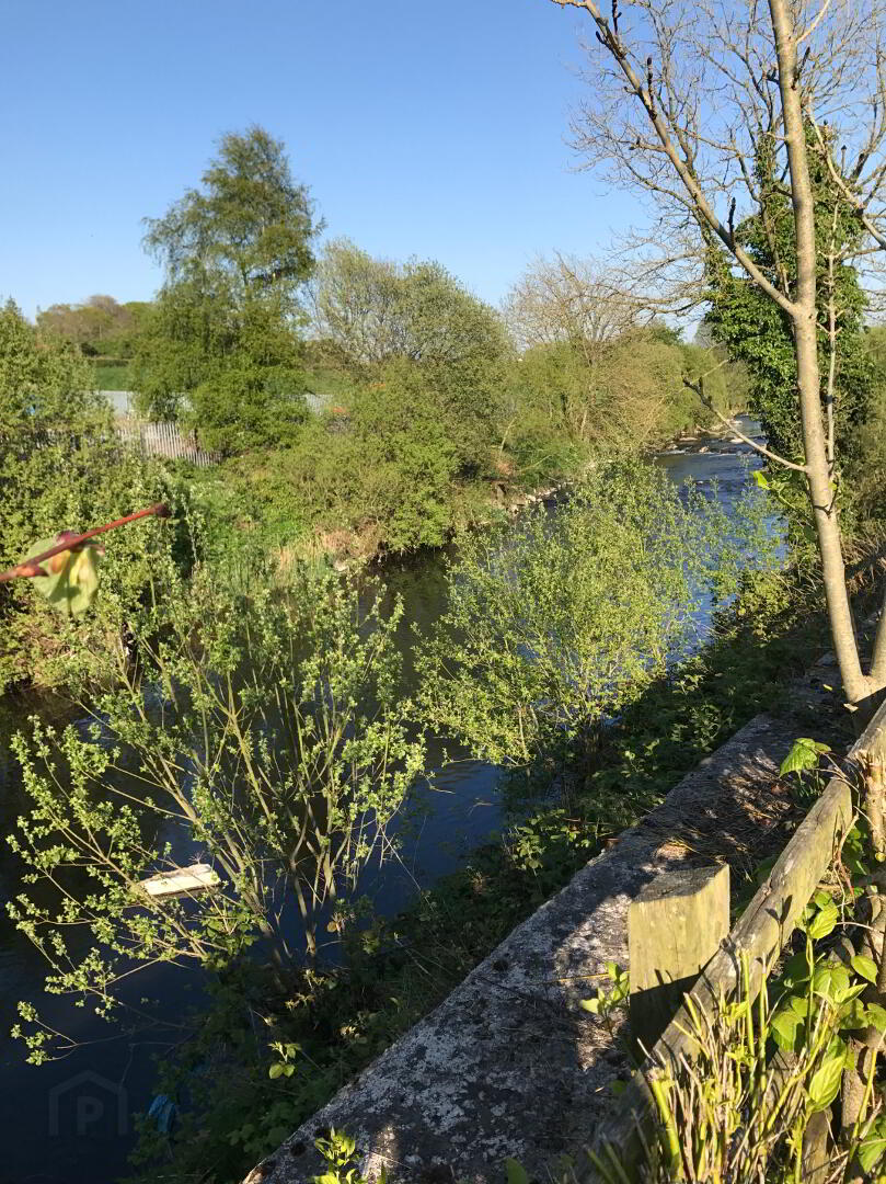 Alexandra Park 16 of 17