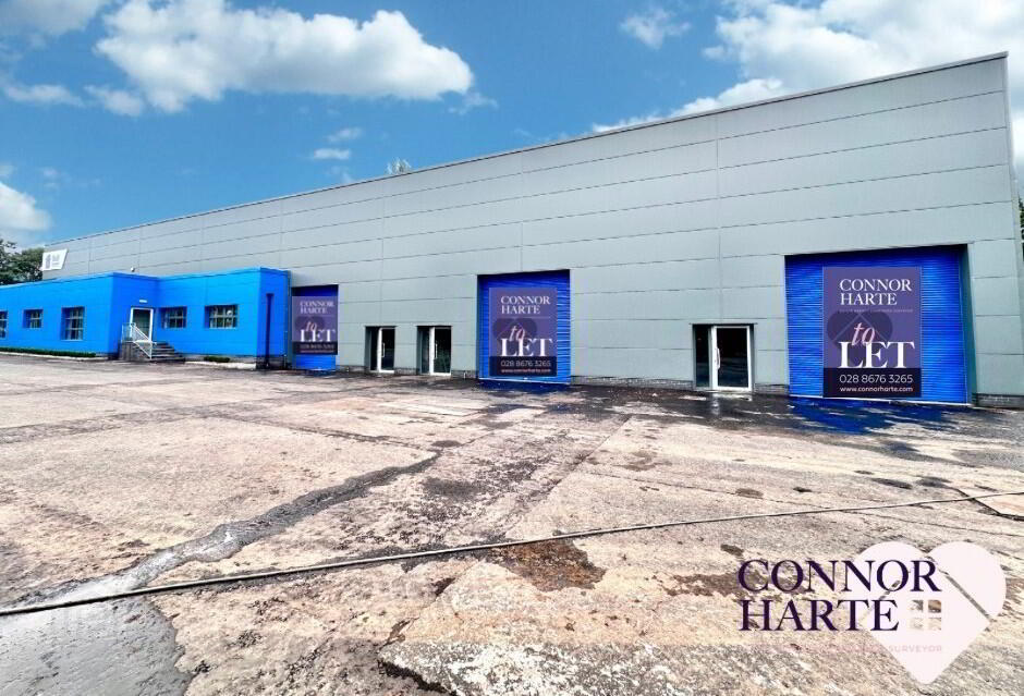 10 Derryloran Industrial Estate 2 of 6