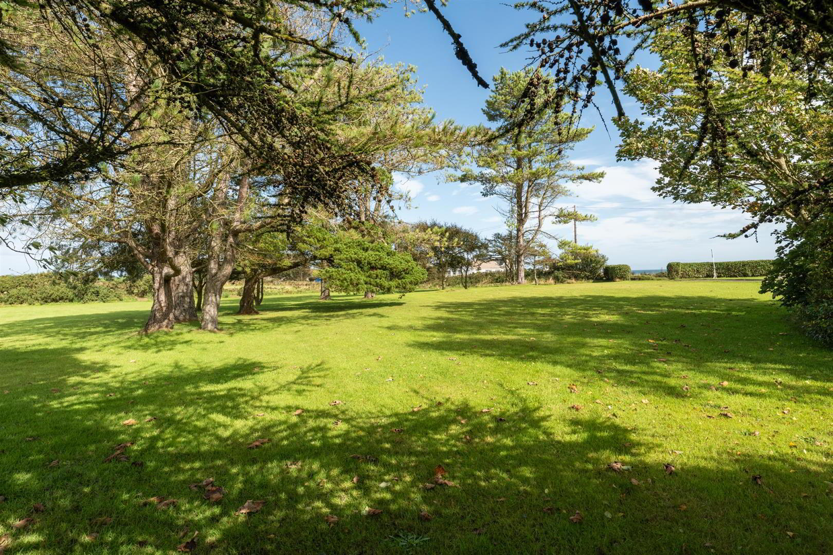 25 Springvale Road 33 of 43