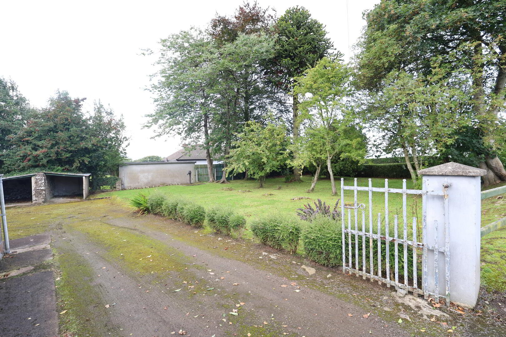 51 Ballynacross Road. 4 of 8