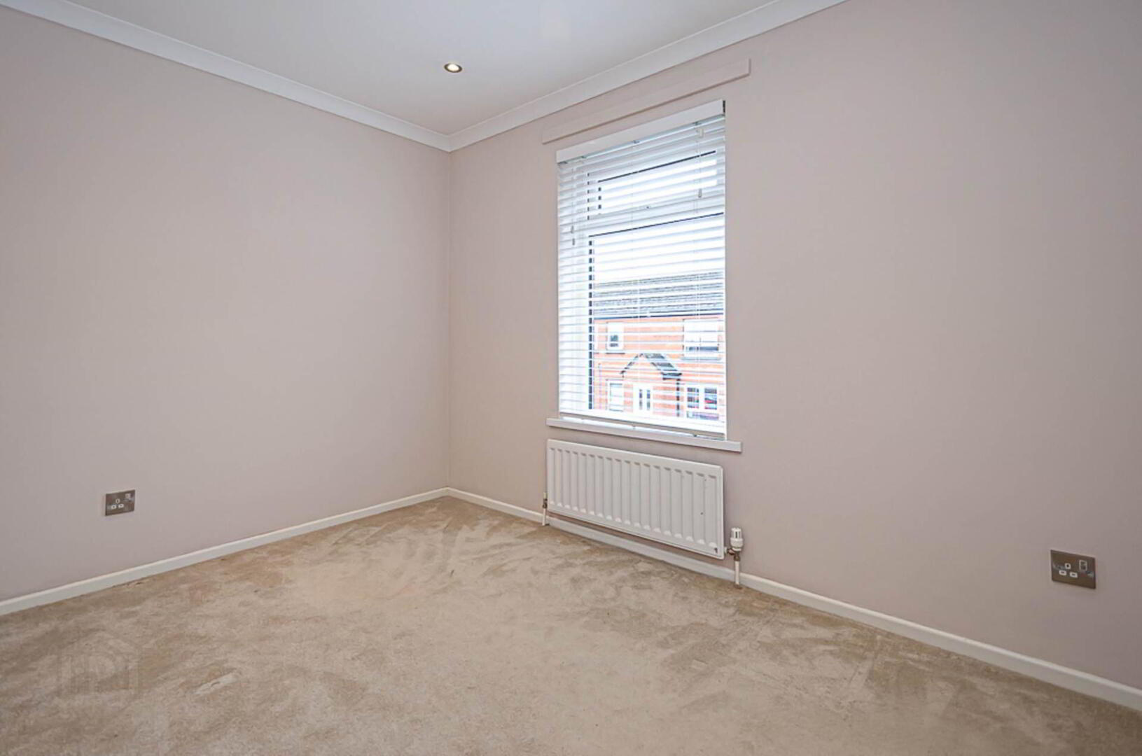 13 Calvin Street 16 of 25