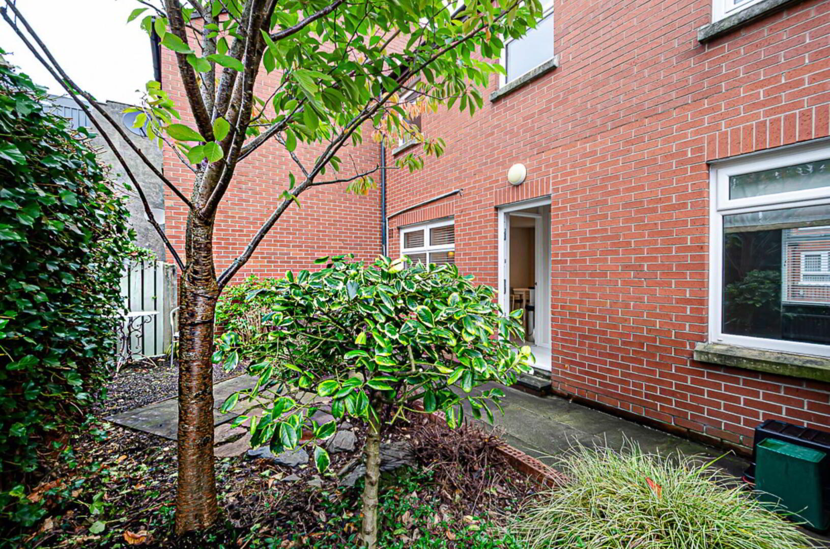 13 Calvin Street 24 of 25