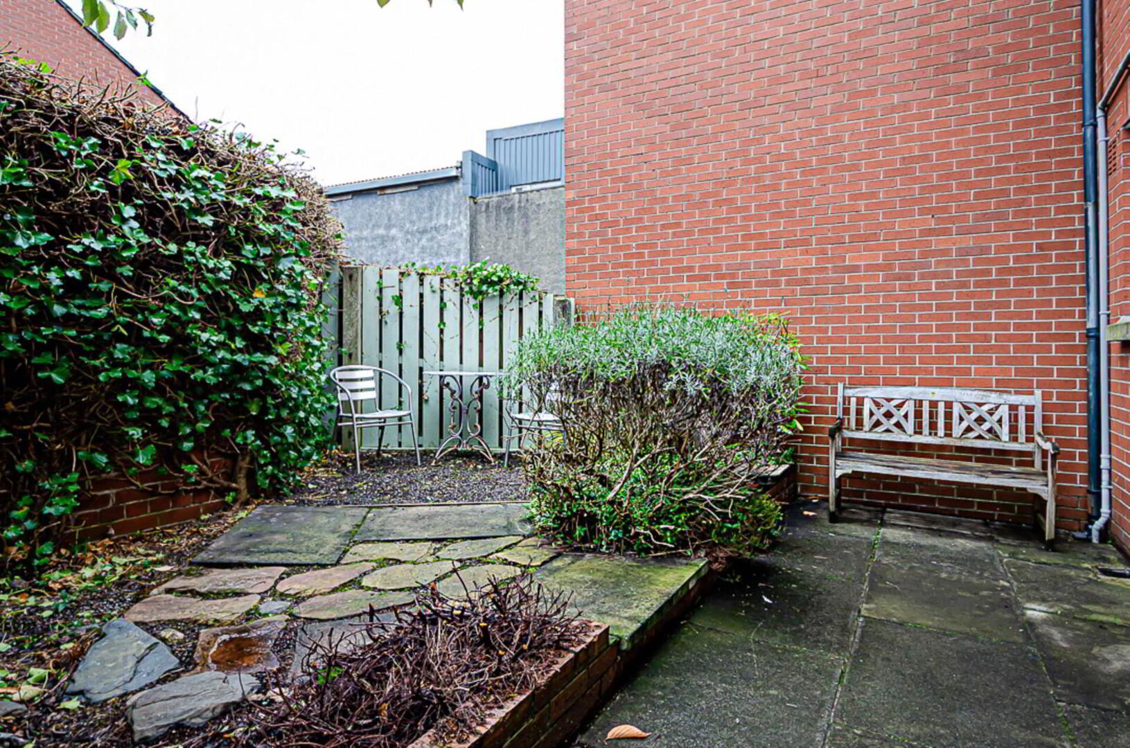 13 Calvin Street 23 of 25