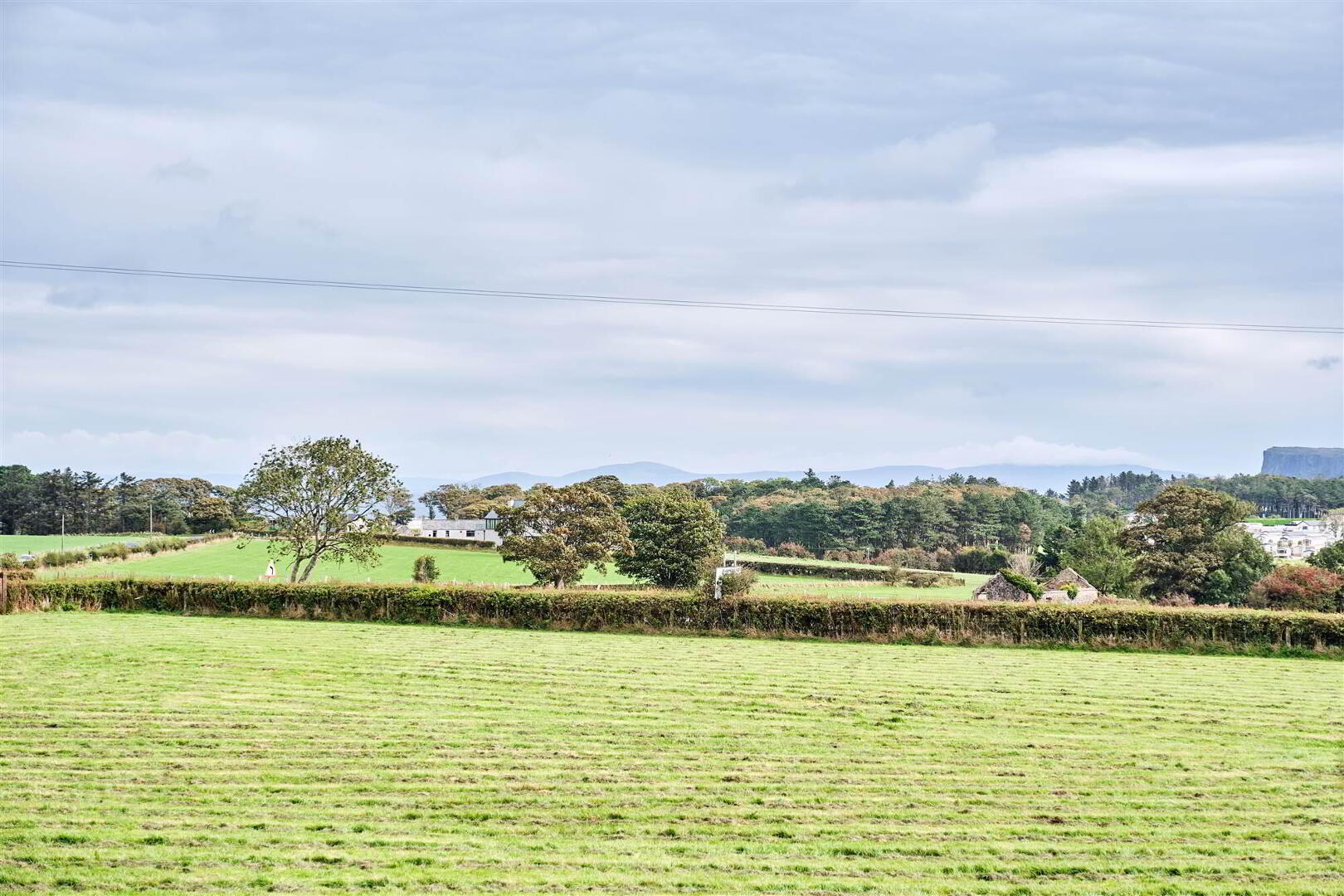 Bushbane Kennels, Cattery & Grooming, 28 Whitepark Road 27 of 67