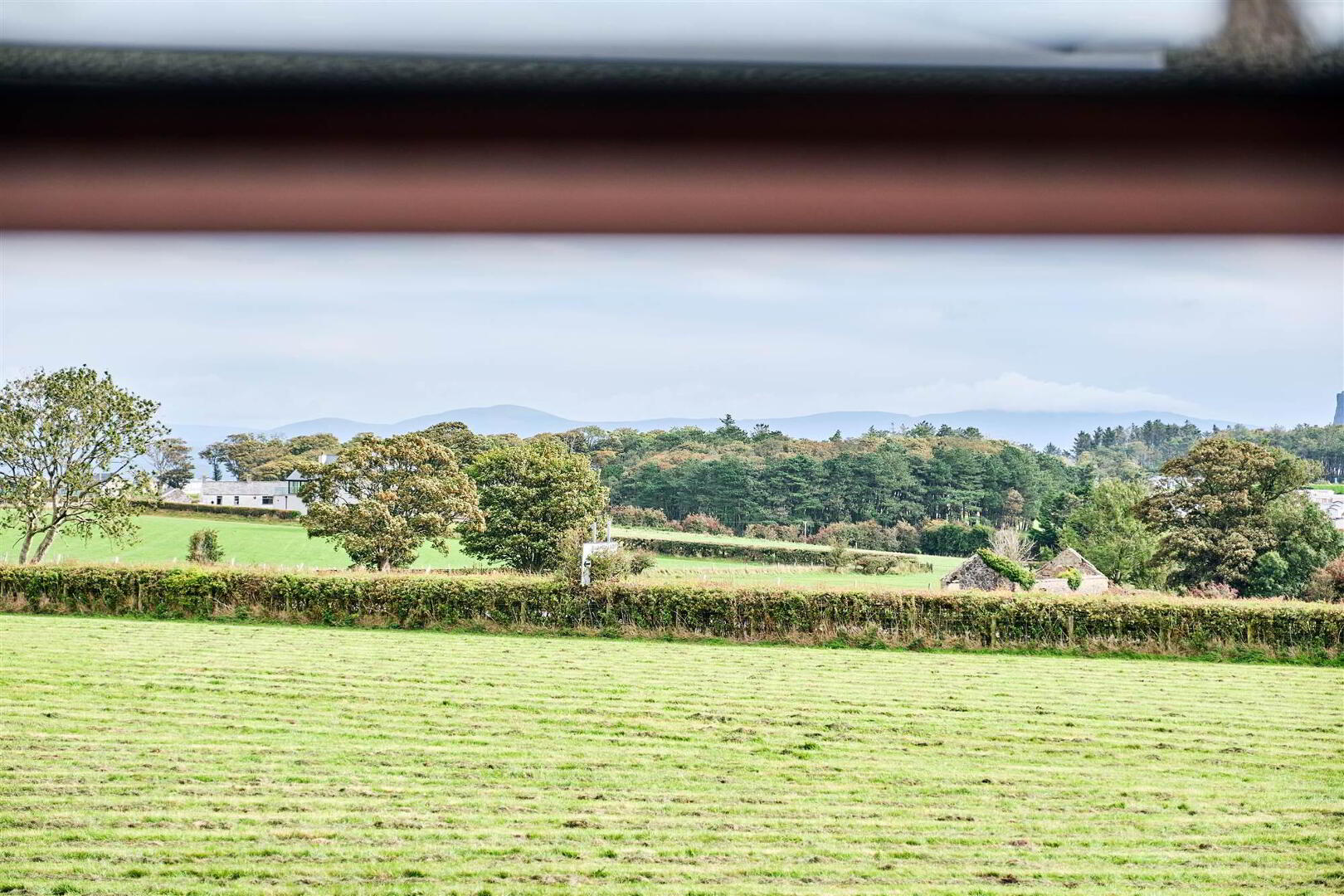 Bushbane Kennels, Cattery & Grooming, 28 Whitepark Road 28 of 67