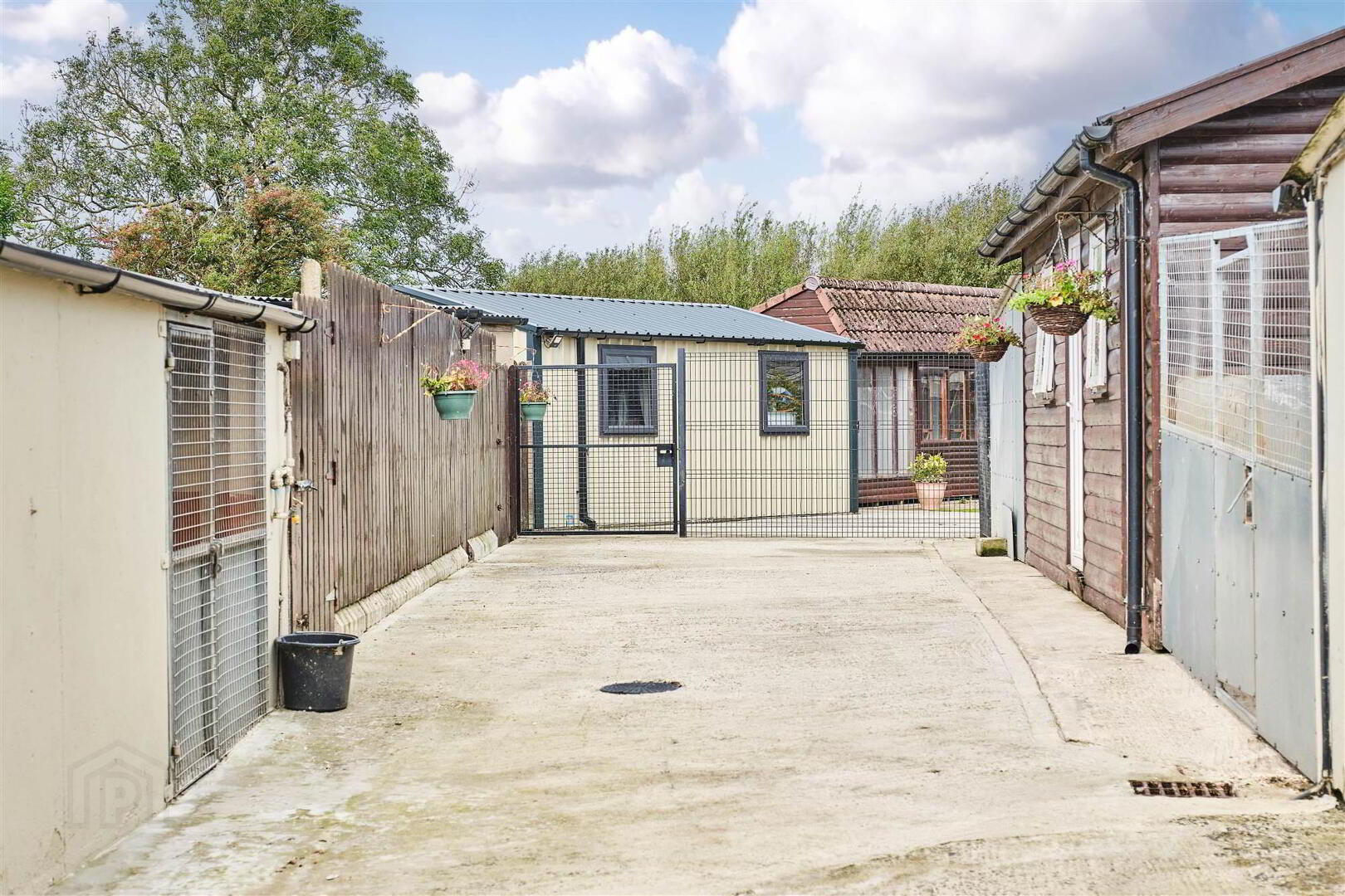 Bushbane Kennels, Cattery & Grooming, 28 Whitepark Road 34 of 67