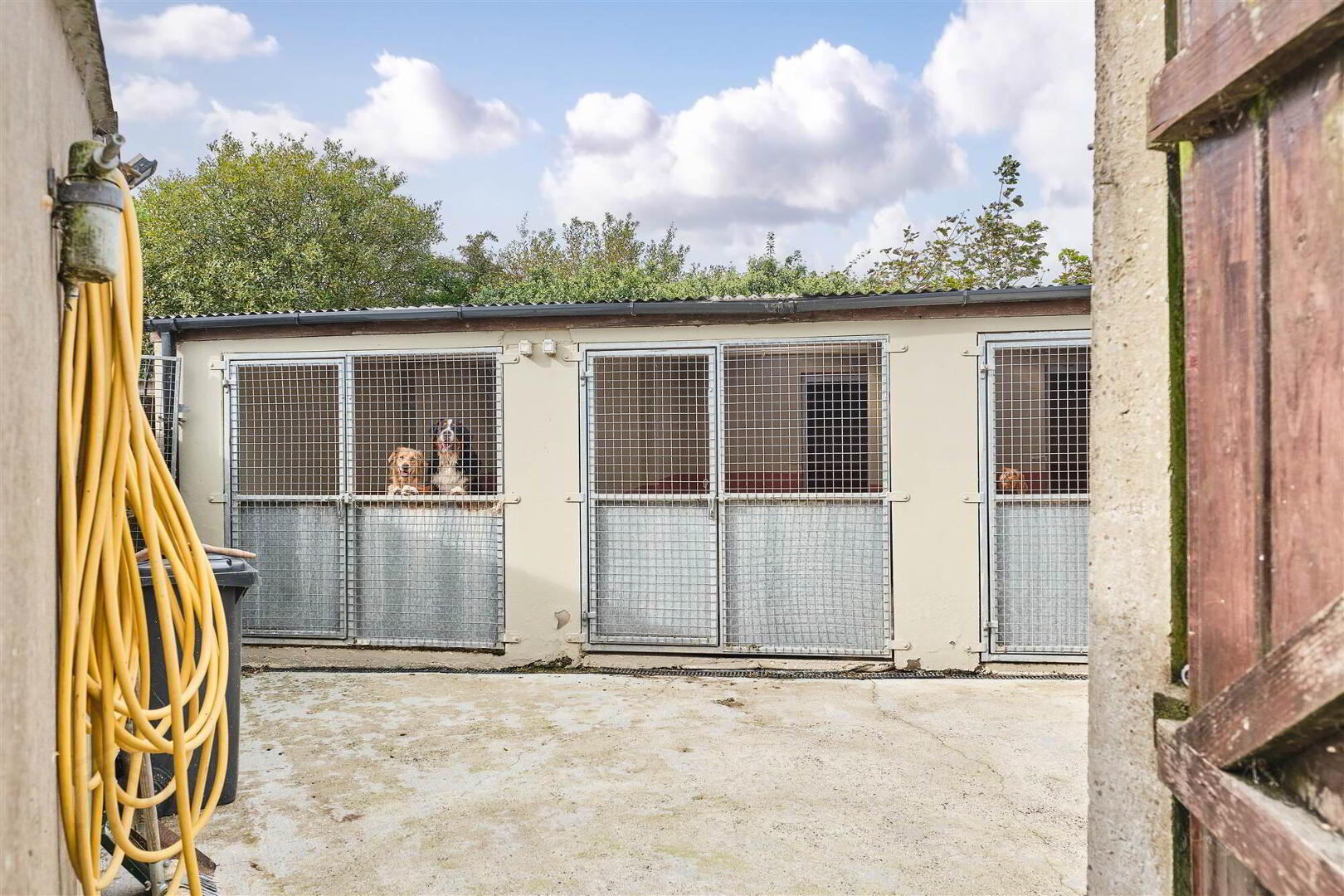 Bushbane Kennels, Cattery & Grooming, 28 Whitepark Road 37 of 67