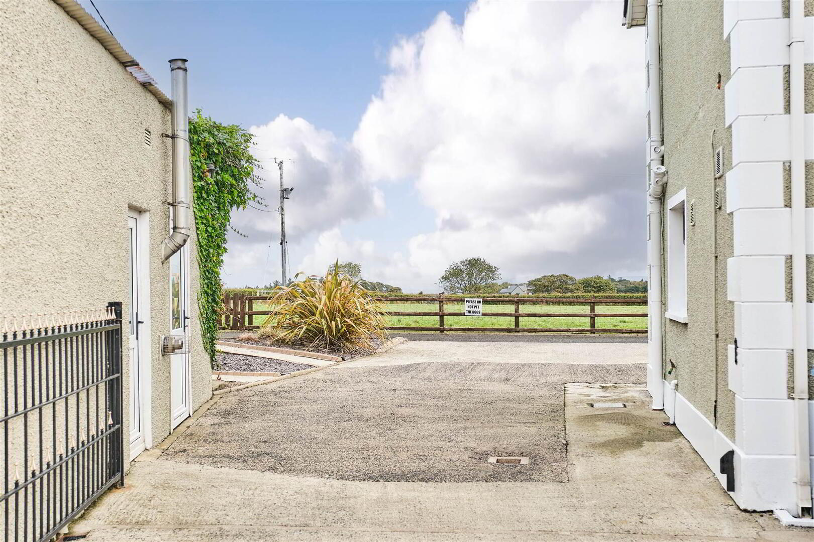Bushbane Kennels, Cattery & Grooming, 28 Whitepark Road 45 of 67