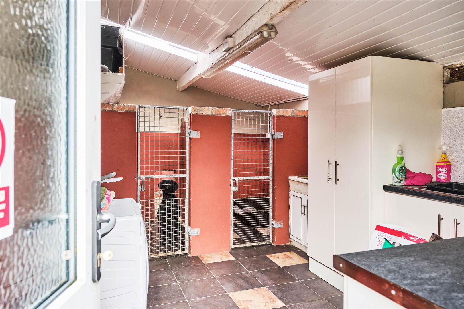 Bushbane Kennels, Cattery & Grooming, 28 Whitepark Road 46 of 67