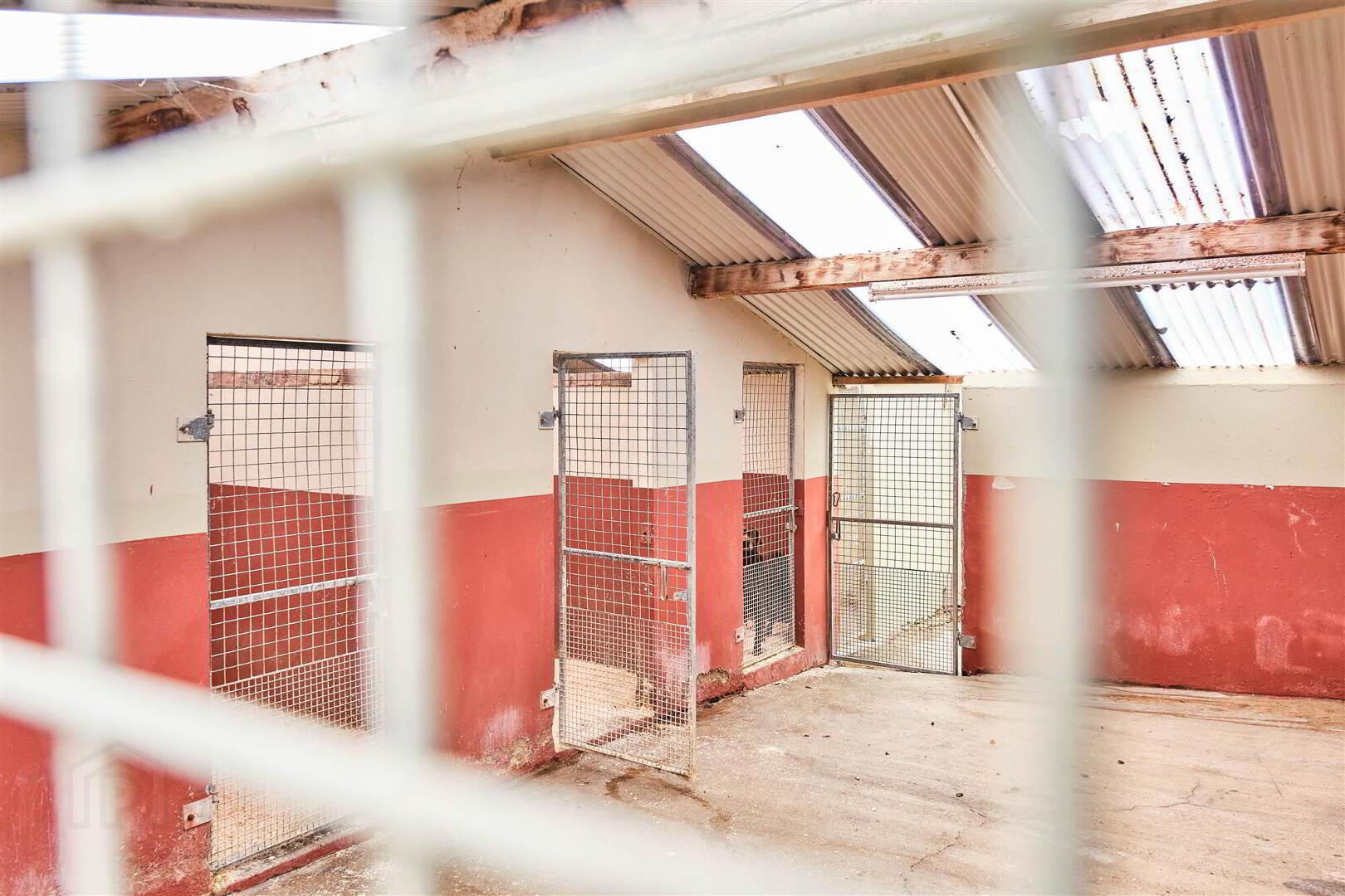 Bushbane Kennels, Cattery & Grooming, 28 Whitepark Road 47 of 67