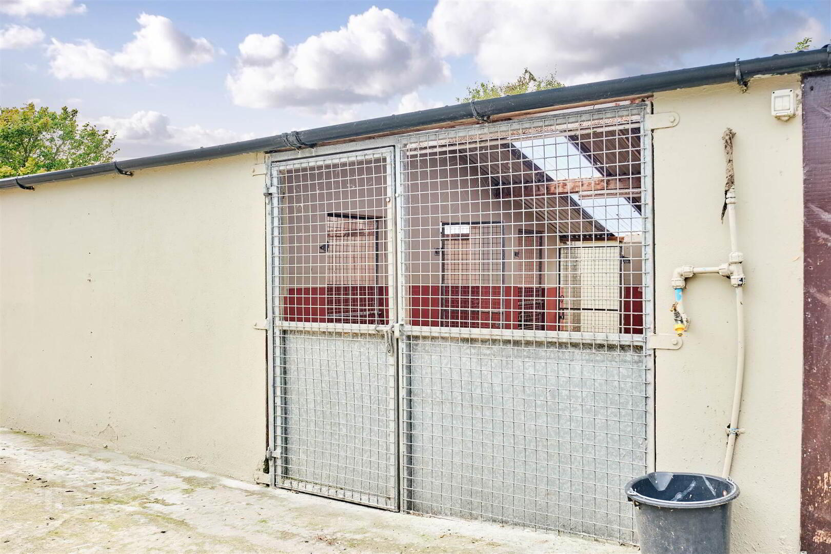 Bushbane Kennels, Cattery & Grooming, 28 Whitepark Road 48 of 67