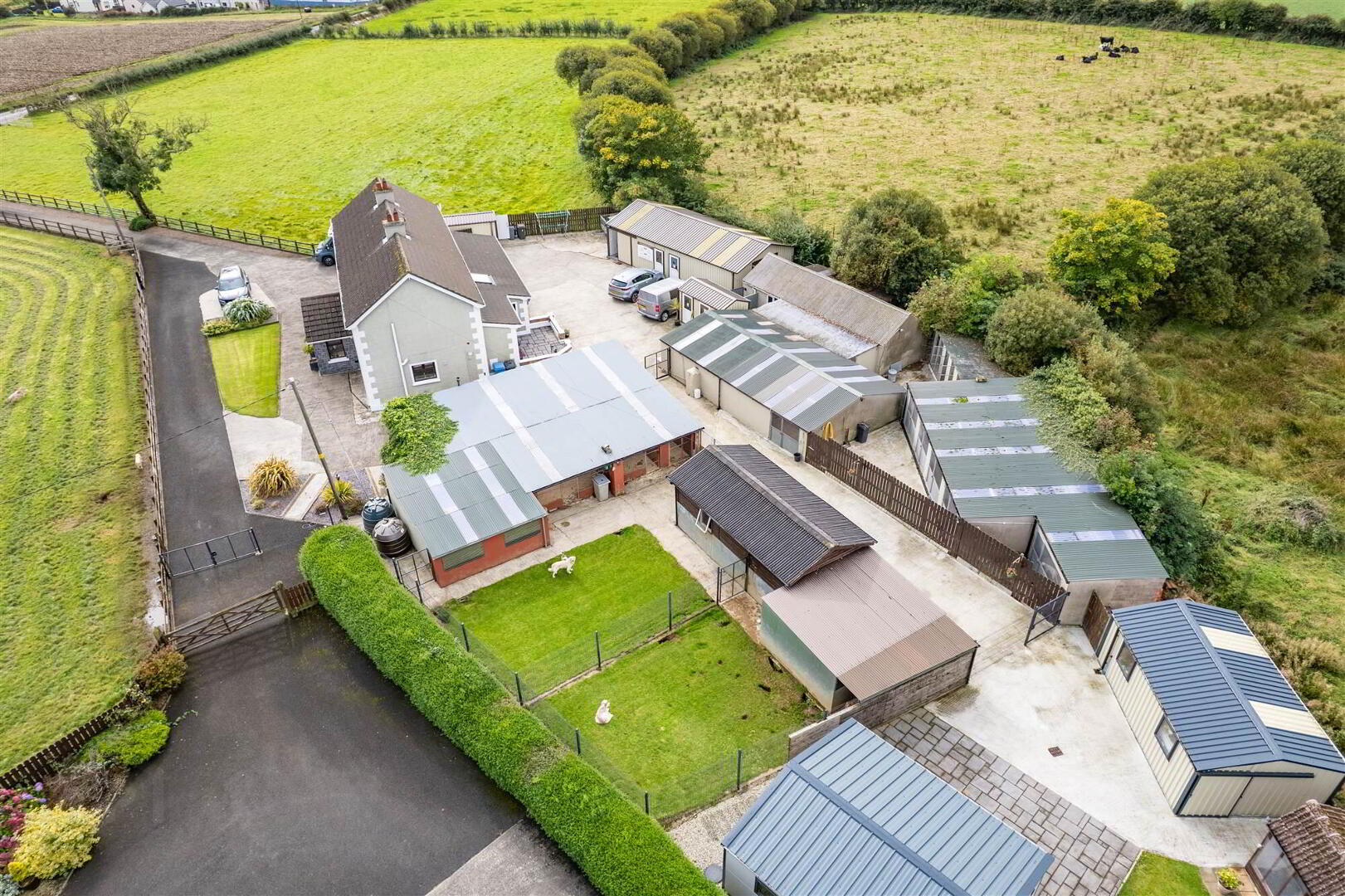 Bushbane Kennels, Cattery & Grooming, 28 Whitepark Road 51 of 67