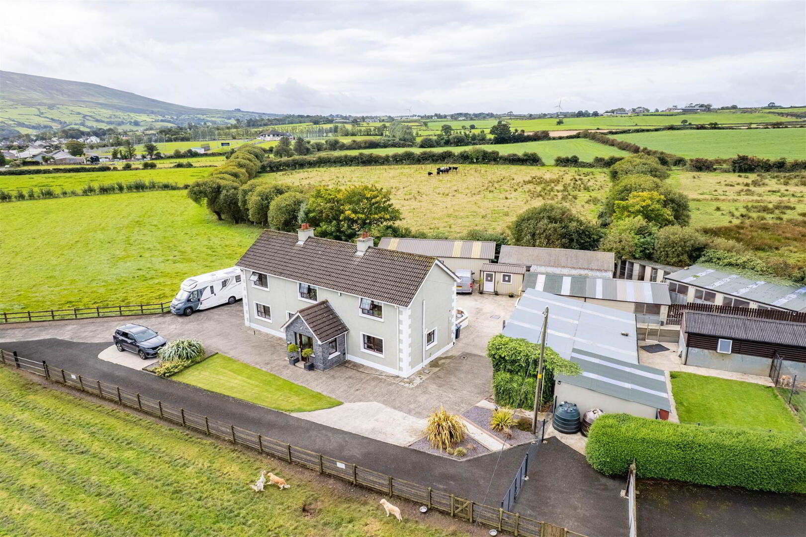 Bushbane Kennels, Cattery & Grooming, 28 Whitepark Road 56 of 67