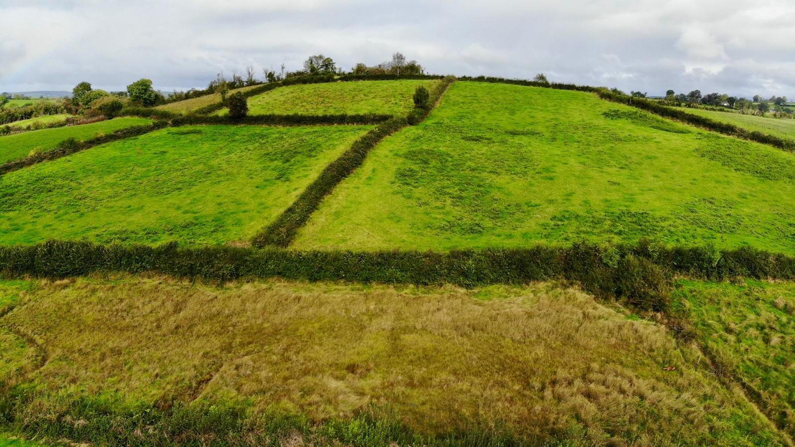 18.8 Acres @ Tullyvar Road 3 of 7