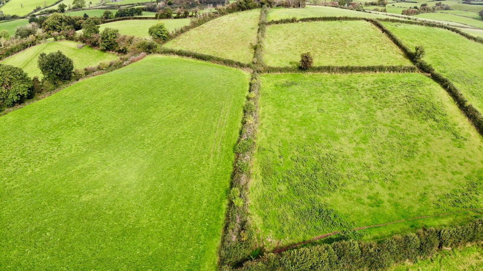 18.8 Acres @ Tullyvar Road 6 of 7