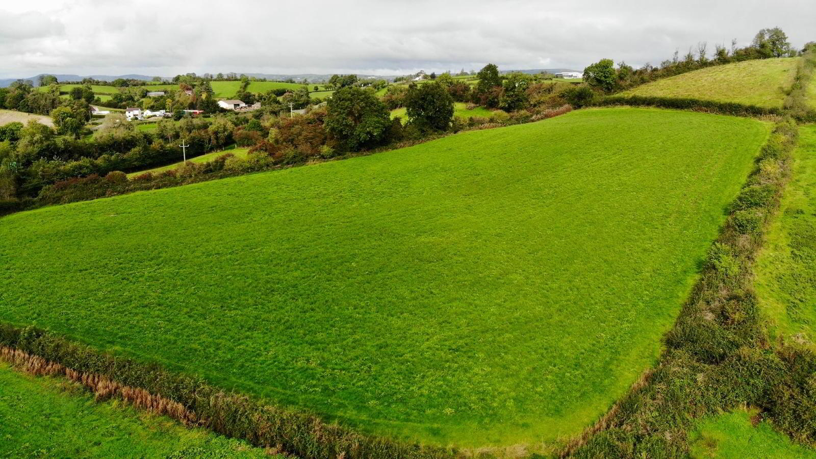 18.8 Acres @ Tullyvar Road 7 of 7
