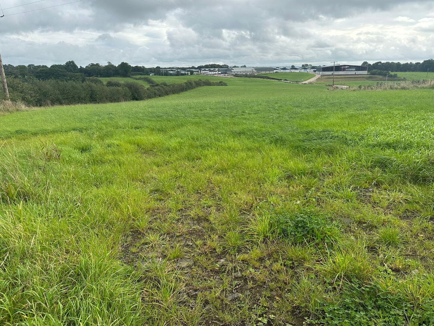 53m SE Of 10 Lisgorgan Lane 4 of 6
