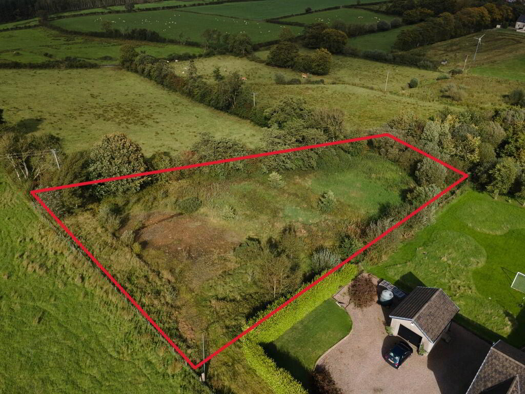 Site 45c Donegore Hill 1 of 12