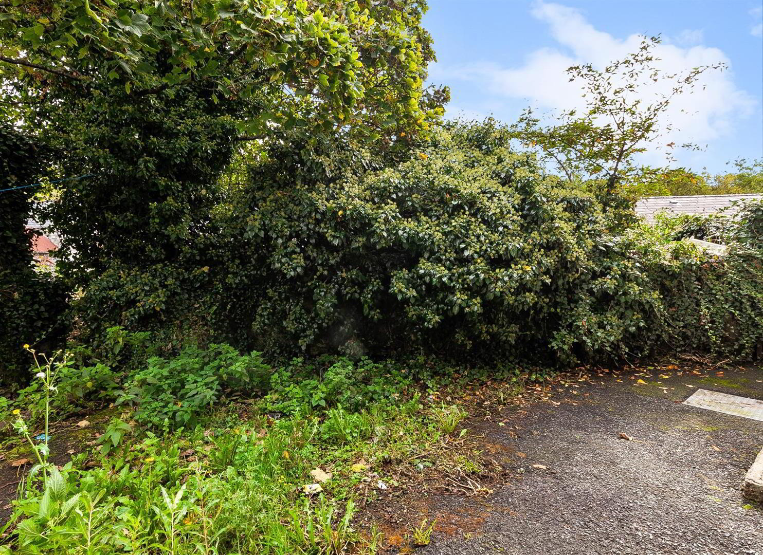 5 Whitewell Road 17 of 17