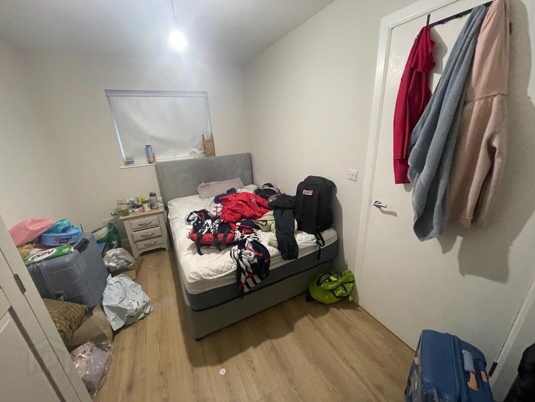 203 College Court Central 8 of 12