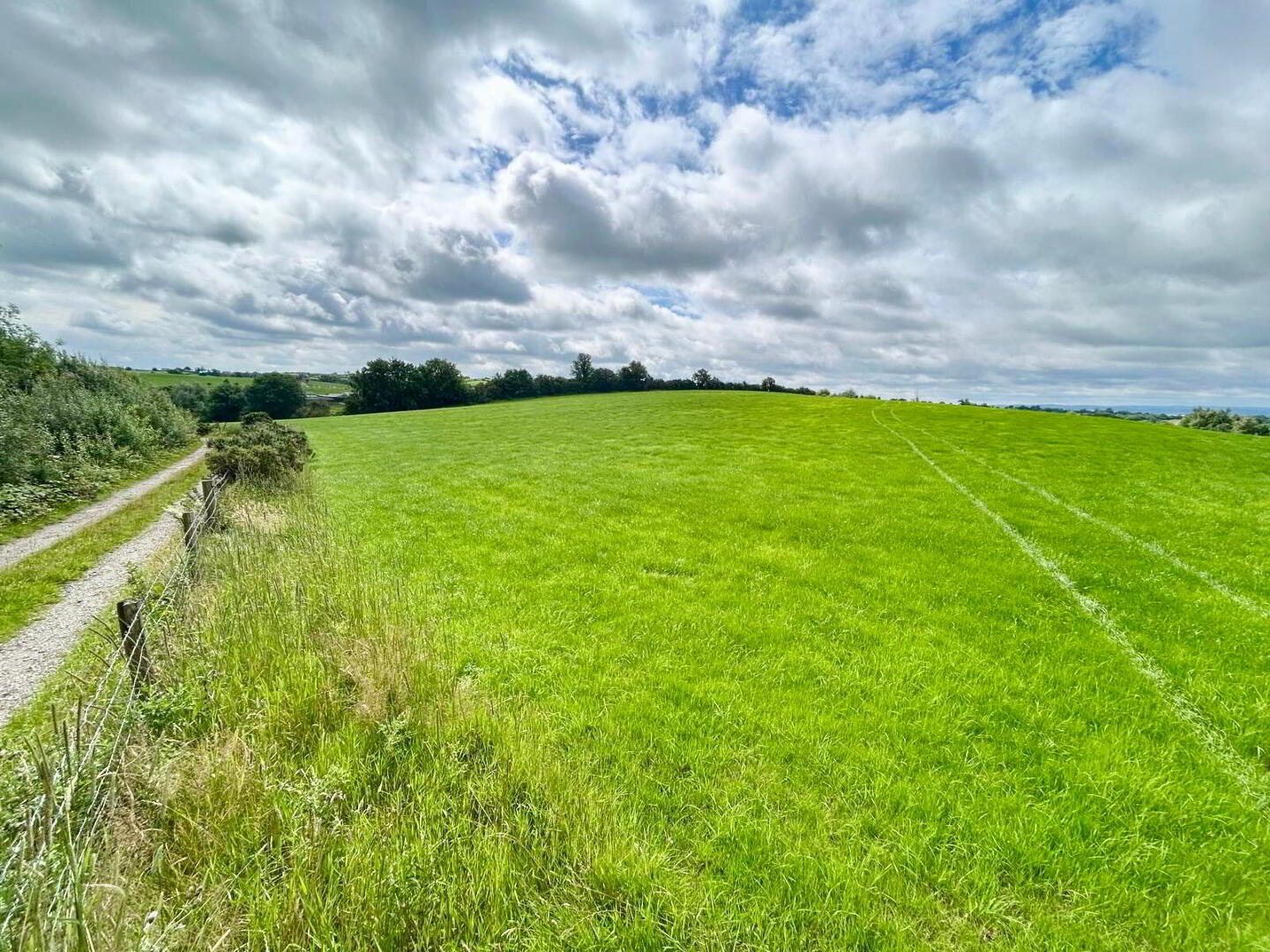 Goland Road 8 of 12