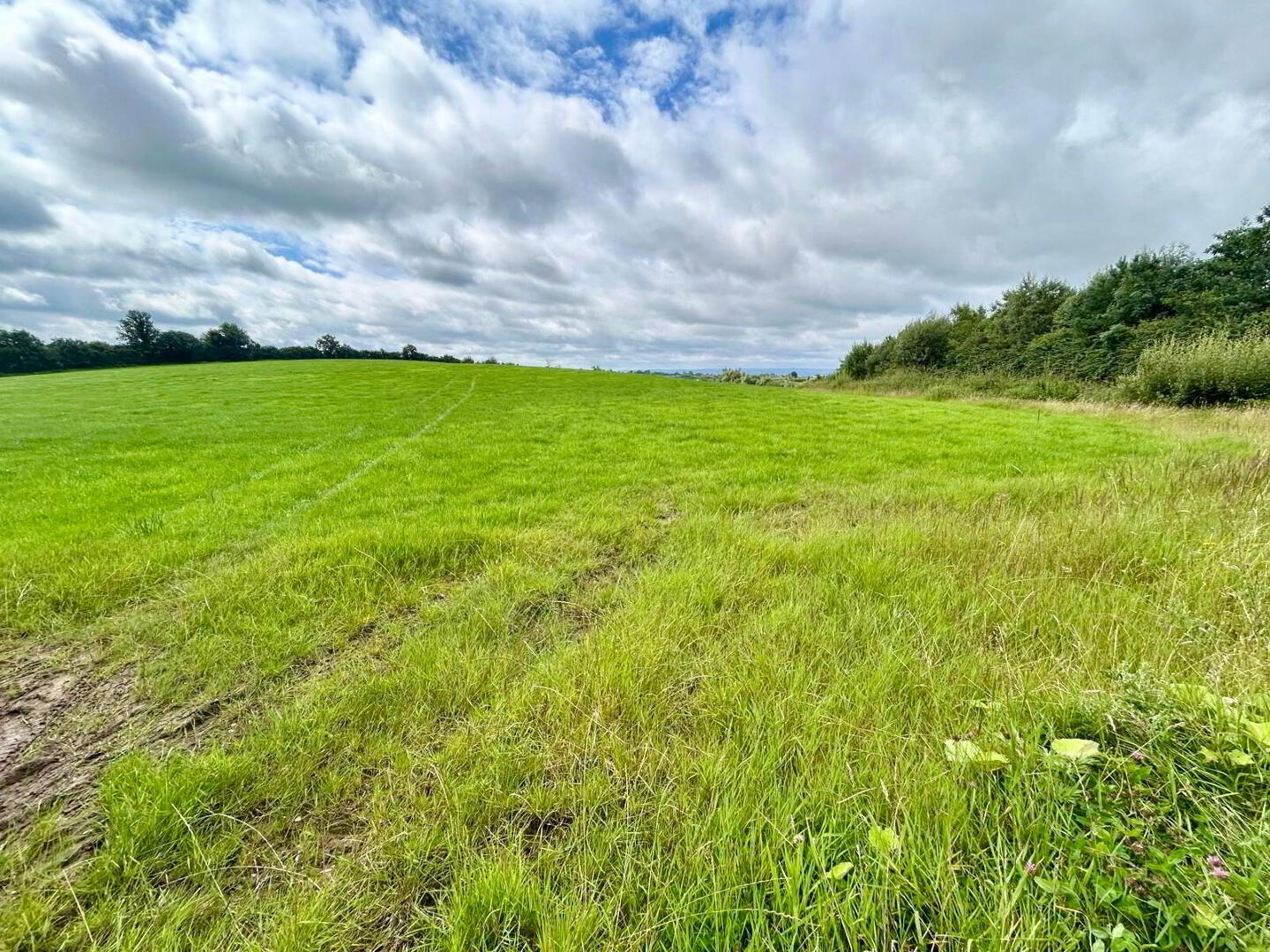 Goland Road 7 of 12