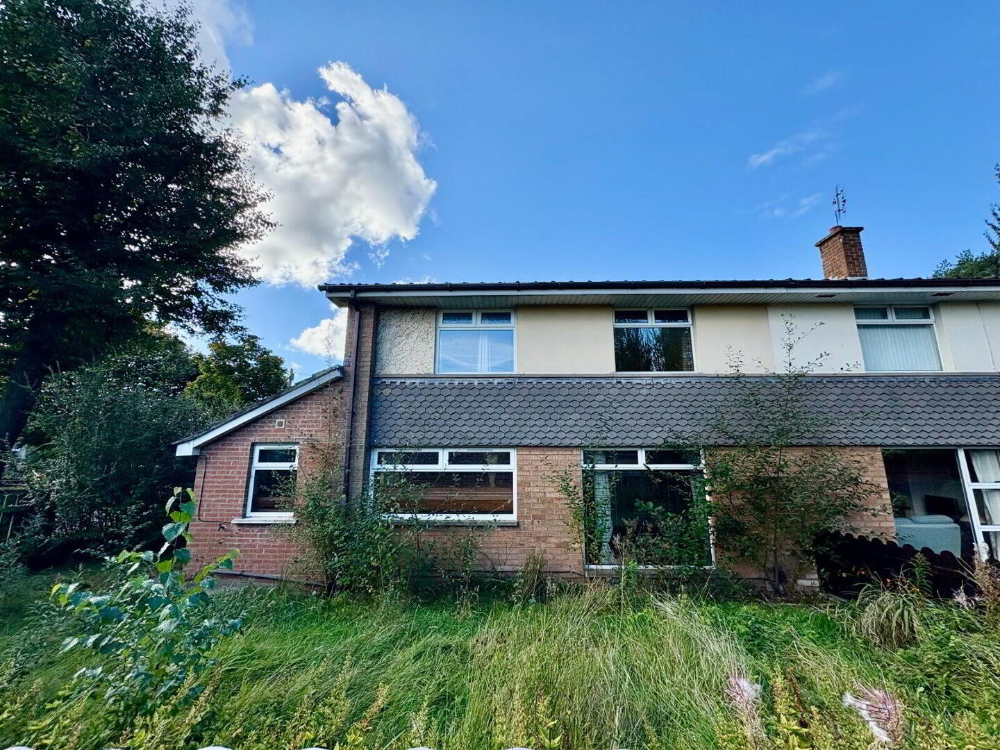 254 Belvoir Drive 2 of 17