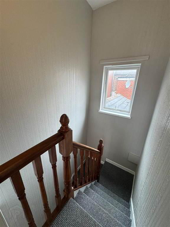 113 Stratheden Street 6 of 14