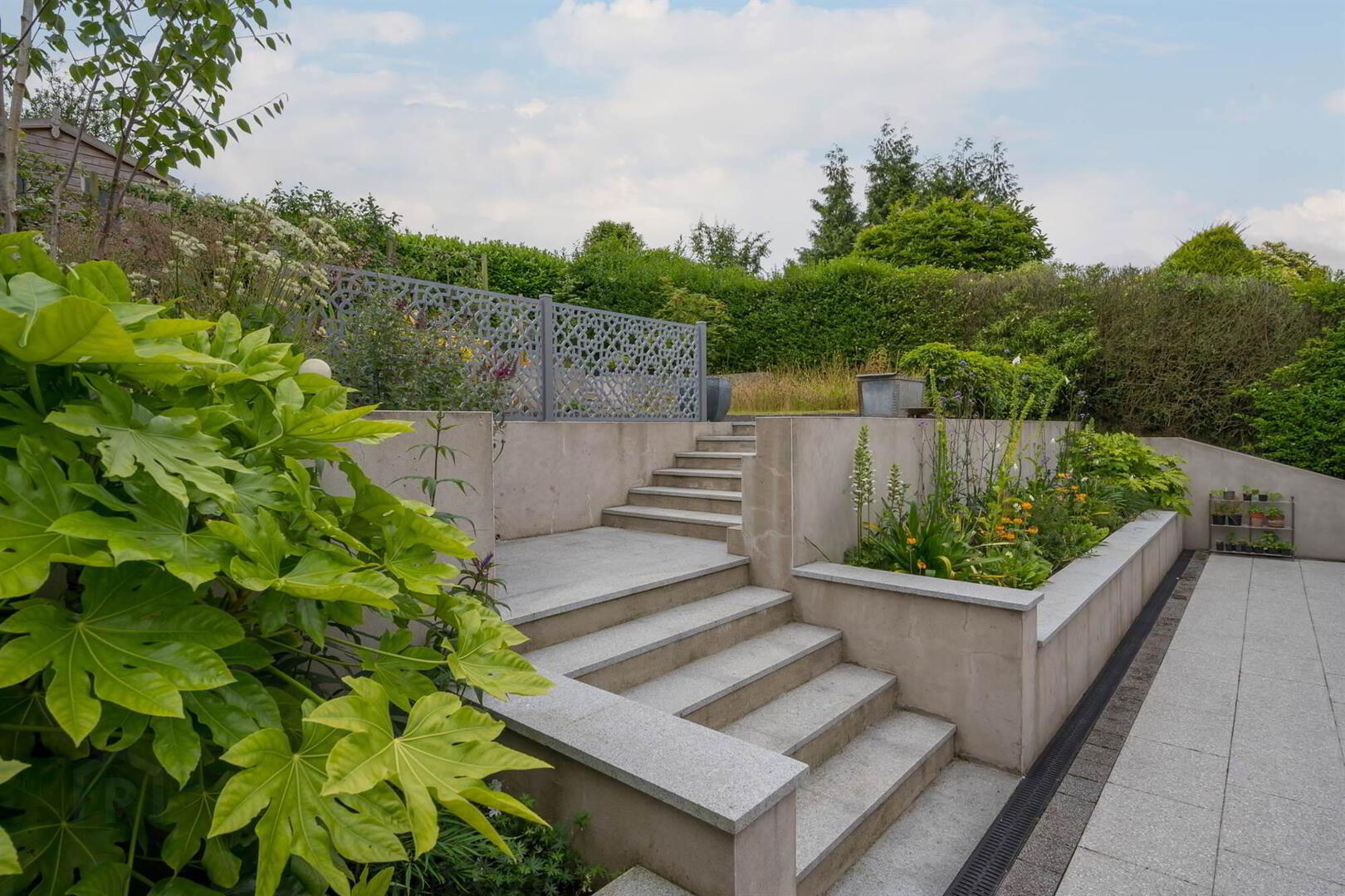 12 Mount Eden Park 27 of 32