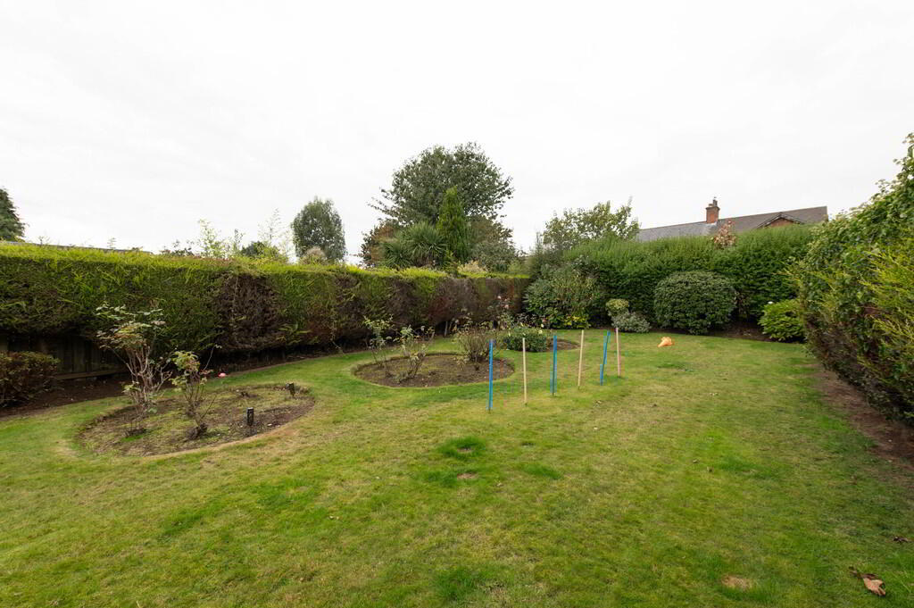 256 Holywood Road 23 of 28