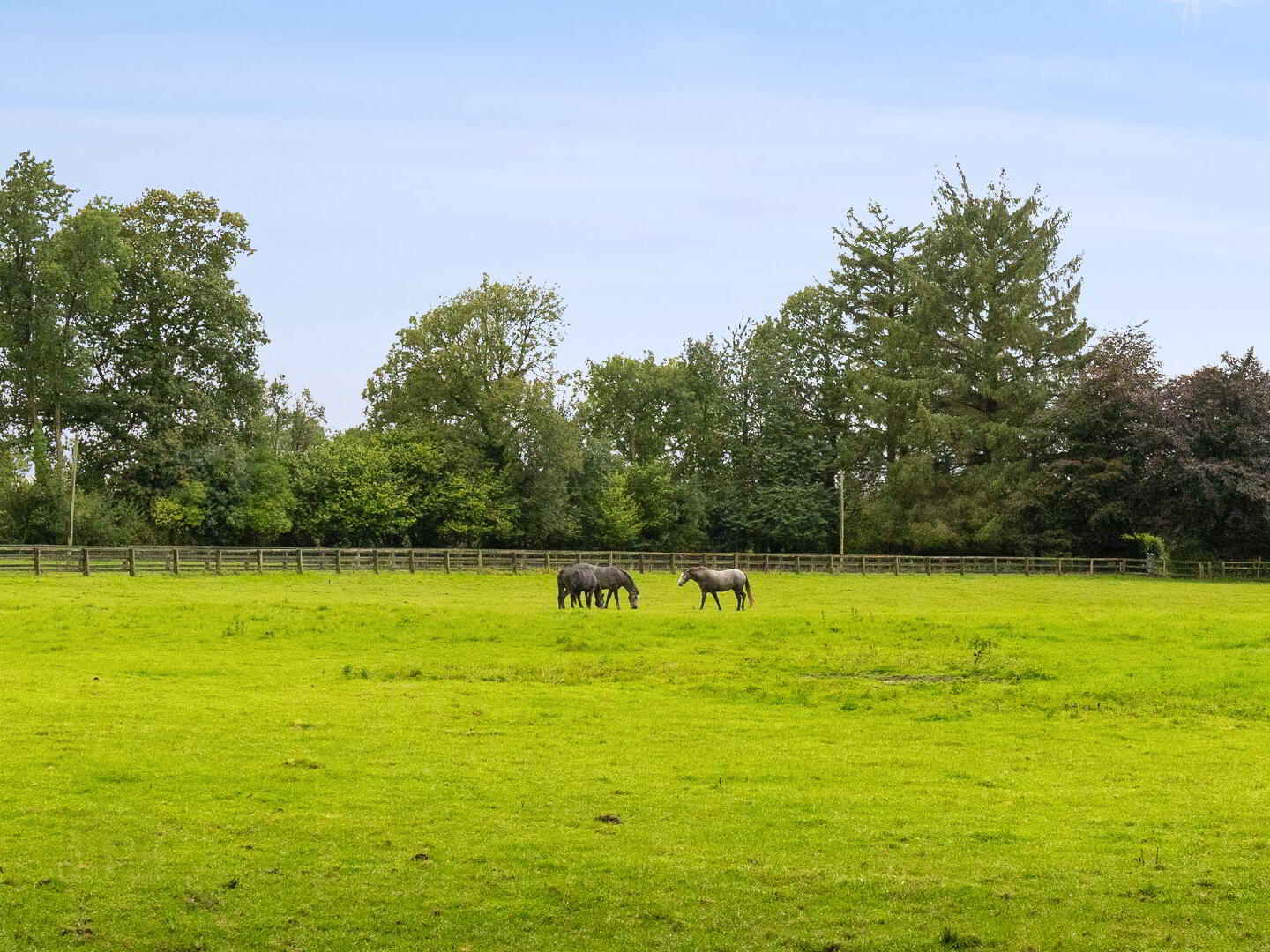 Talbotstown Fort 45 of 51