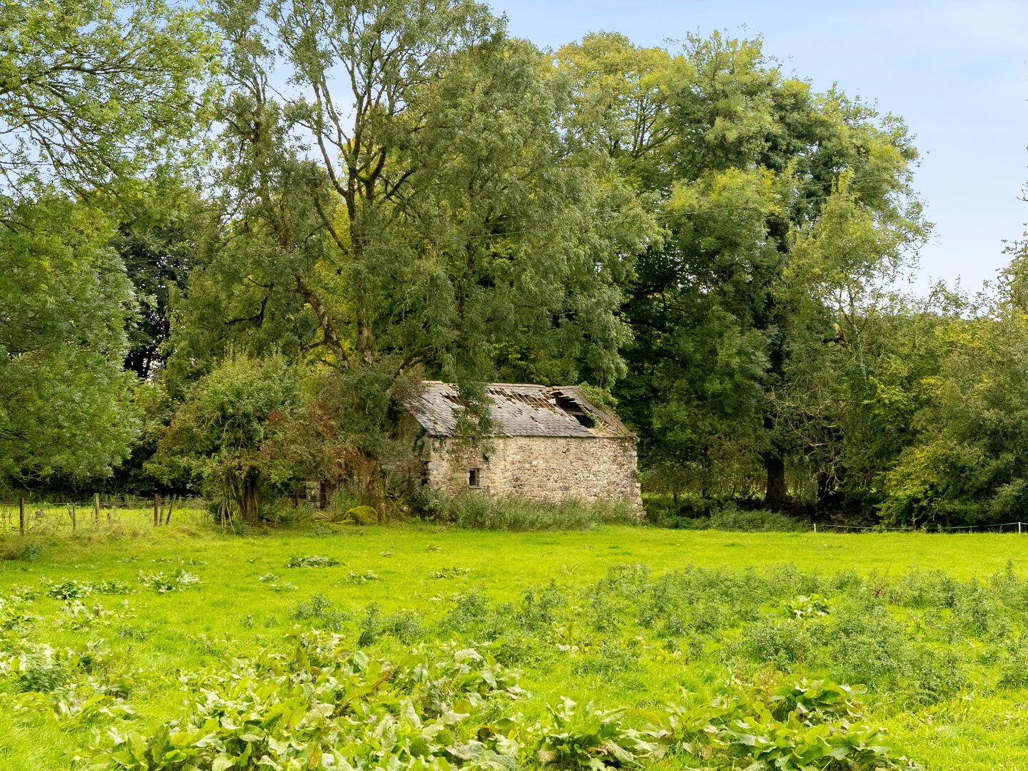 Talbotstown Fort 46 of 51