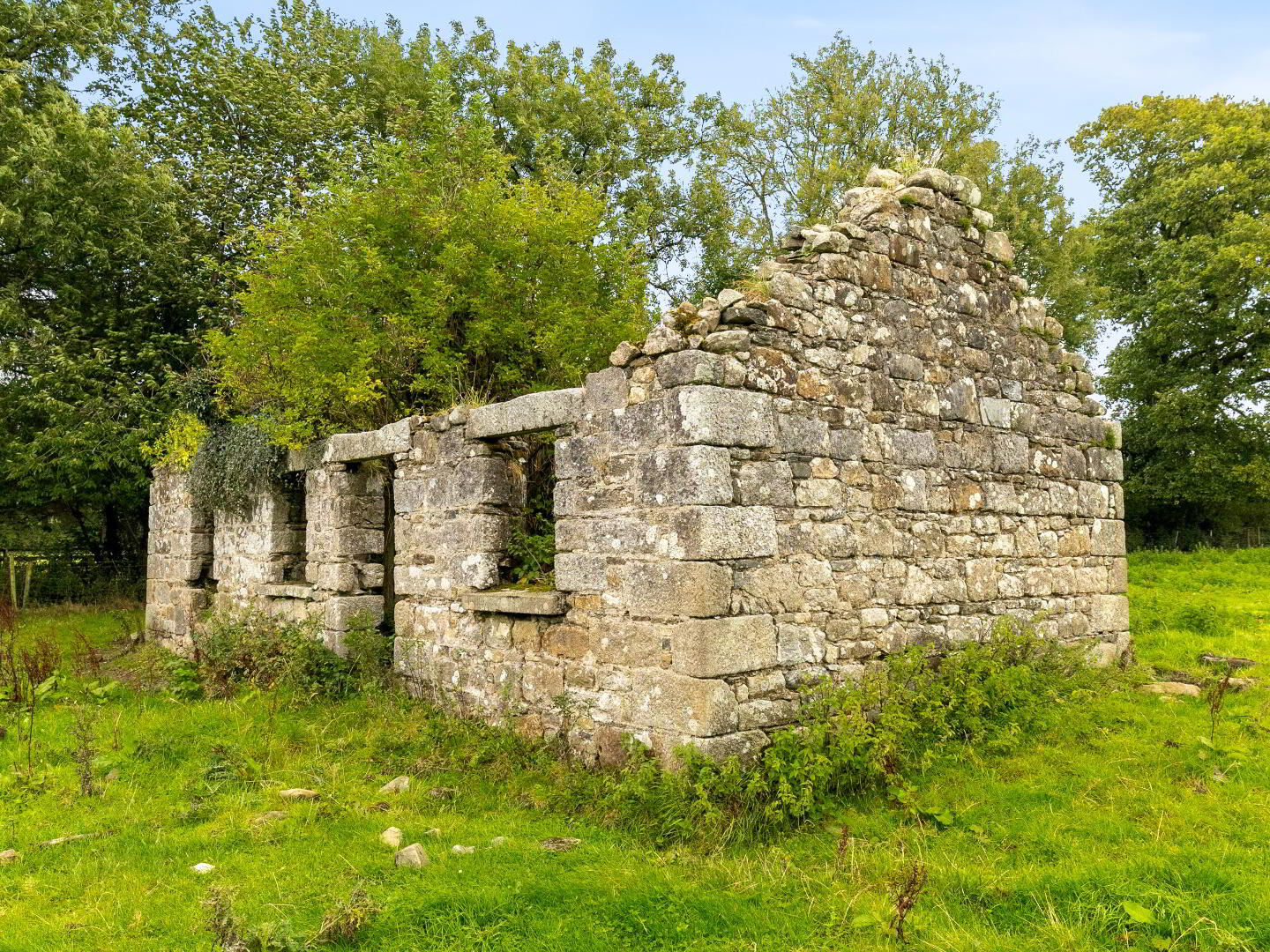 Talbotstown Fort 48 of 51